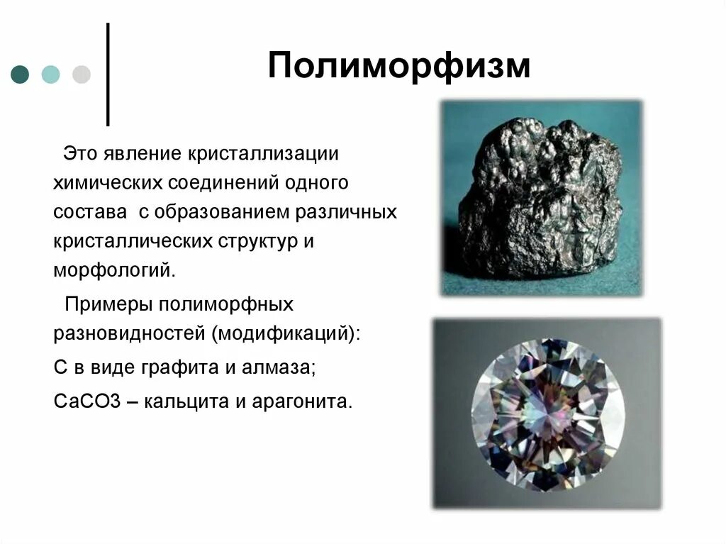 Можно ли назвать человека полиморфным