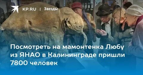 Скорпион и мамонтенок кто под маской