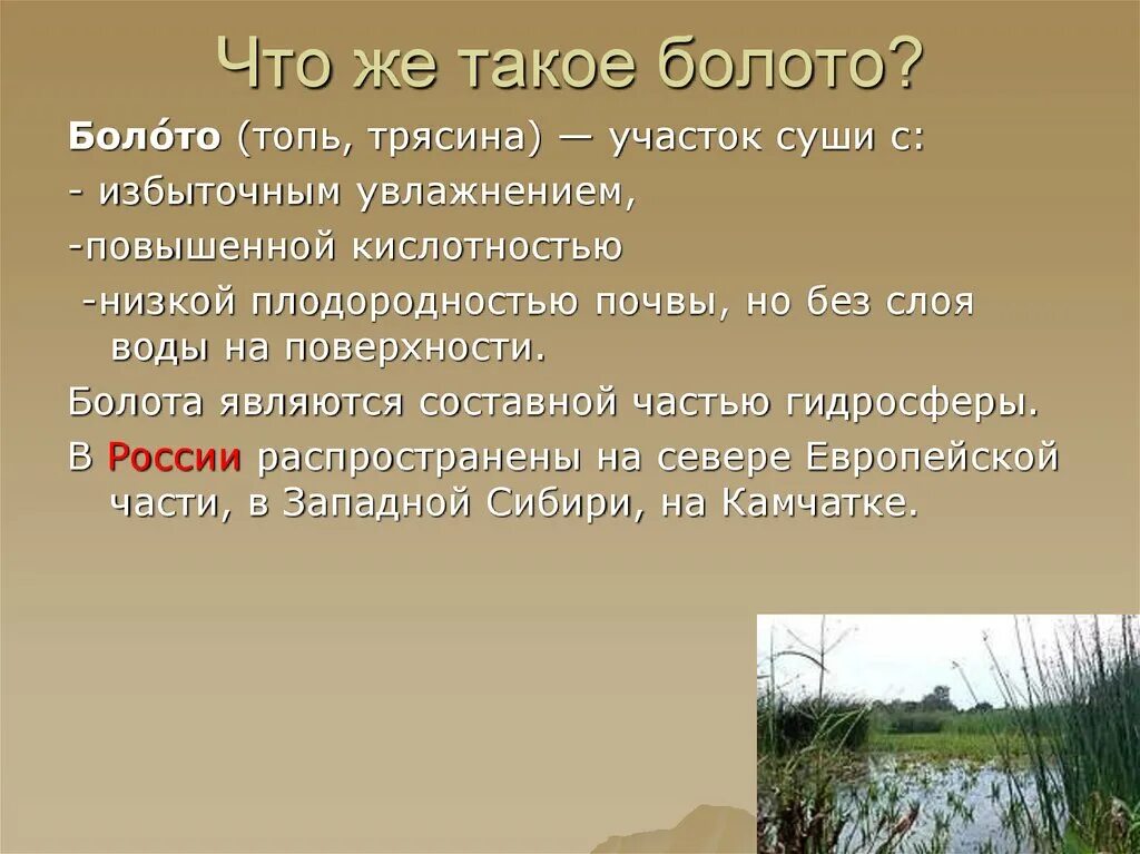 Доклад про болото. Болота доклад. Презентация на тему болота. Презентация на тему болото. Увлажнение избыточное много болот озер