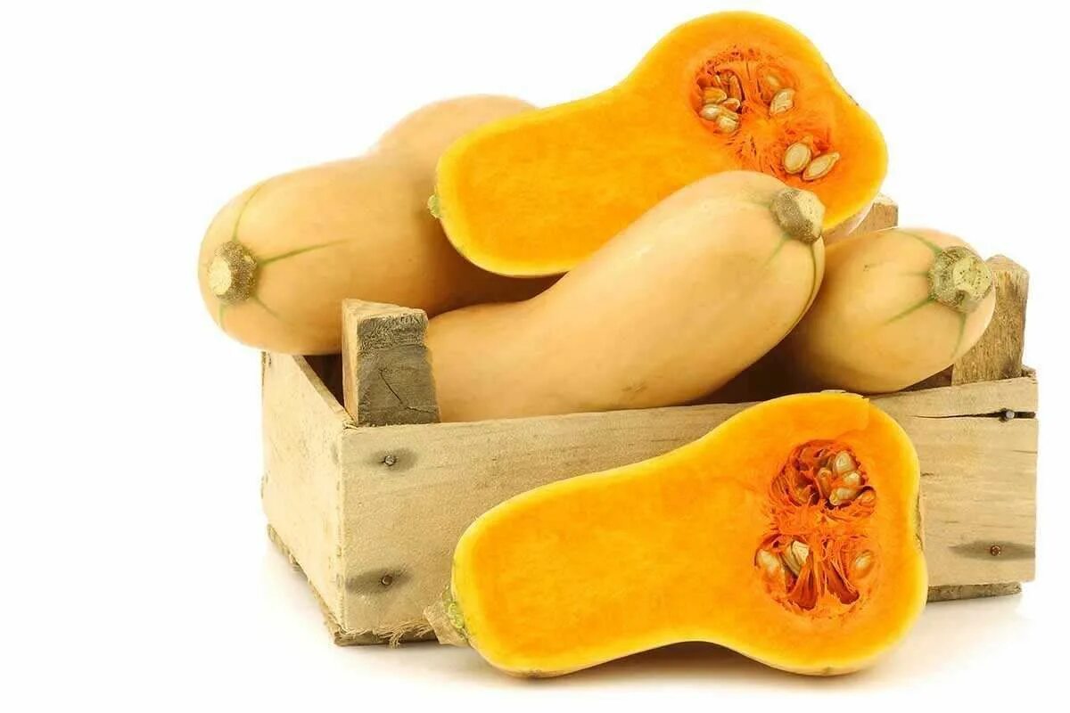 Тыква мускатная баттернат. Butternut Squash-мускатная тыква. Тыква сорт баттернат. Тыква баттернат сквош.