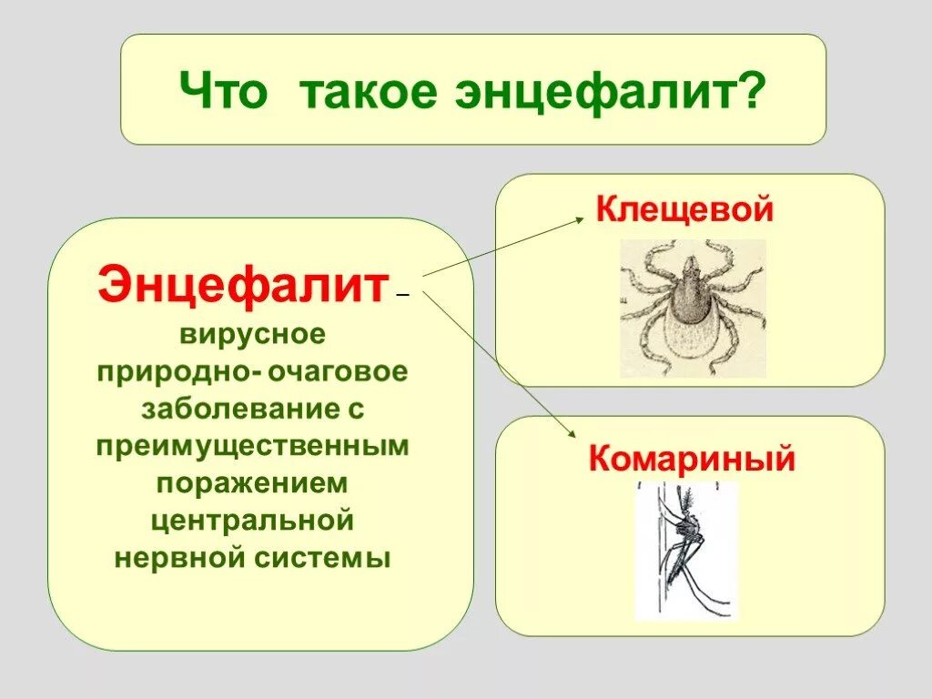 Клещевой энцефалит опасно ли. Осторожно клещи клещевой вирусный энцефалит. Клещевой энцефалит это вирусное заболевание. Клещевойщевой энцефалит. Клещевой энцефалит презентация.