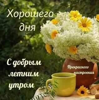Доброе утро и ясного дня
