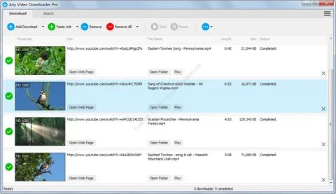 Video downloader pro