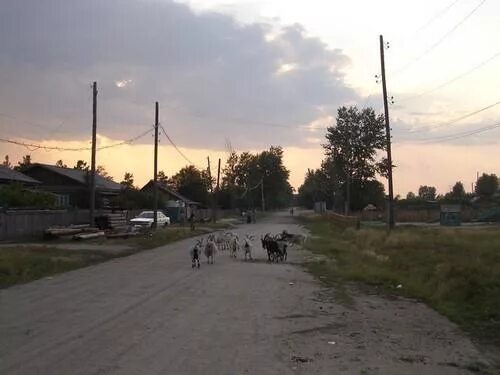Сиваки амурская область. Погода в сиваках амурской. Станция сиваки. Сиваки амурская область. Станция сиваки.