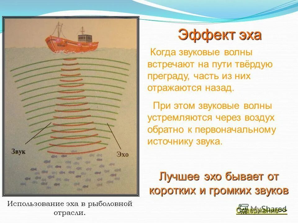 Эхо явление. Презентация на тему Эхо. Эхо откуда. Звуковые волны Эхо. Отражение звука от преграды