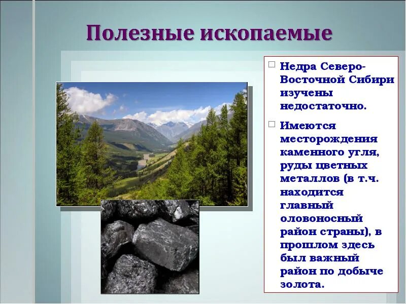 Сибирь богата природными ресурсами. Минеральные ресурсы Северо Восточной Сибири. Полезные ископаемые Северо Восточной Сибири. Полезные ископаемые Восточной Сибири. Полезные ископаемыевосточной Сибири.