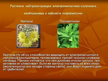 Излучение растений