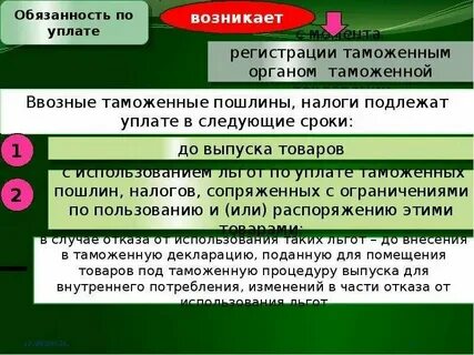 Порядок уплаты таможенных сборов
