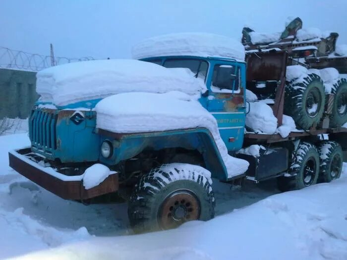 Урал 596012. Трубоплетевоз Урал 596012. Бортовой Урал трубовоз. 596012 Тягач специальный. Купить урал в иркутской