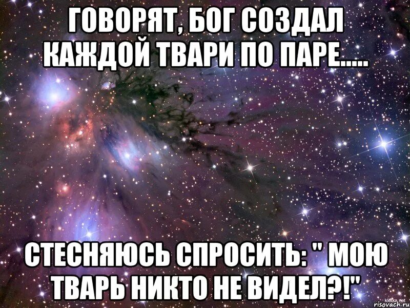 Каждой твари по паре. Каждой твари по паре Мем. Цитаты каждой твари по паре. Каждой паре по твари картинки. Бывший сказал что любит другую