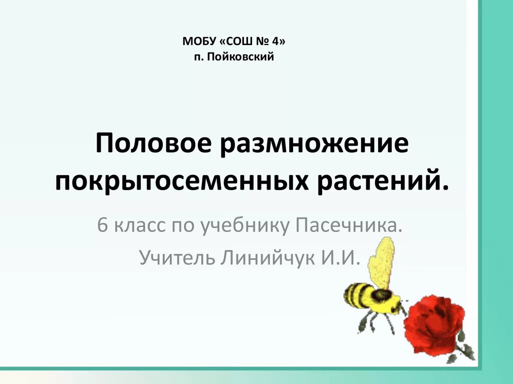 Урок размножение 6 класс. Половое размножение покрытосеменных 6 класс. Биология 6 класс учебник половое размножения покрытосеменных. Проект на тему половое размножение шестой класс. Видео урок и половом размножение растений 6 класс.