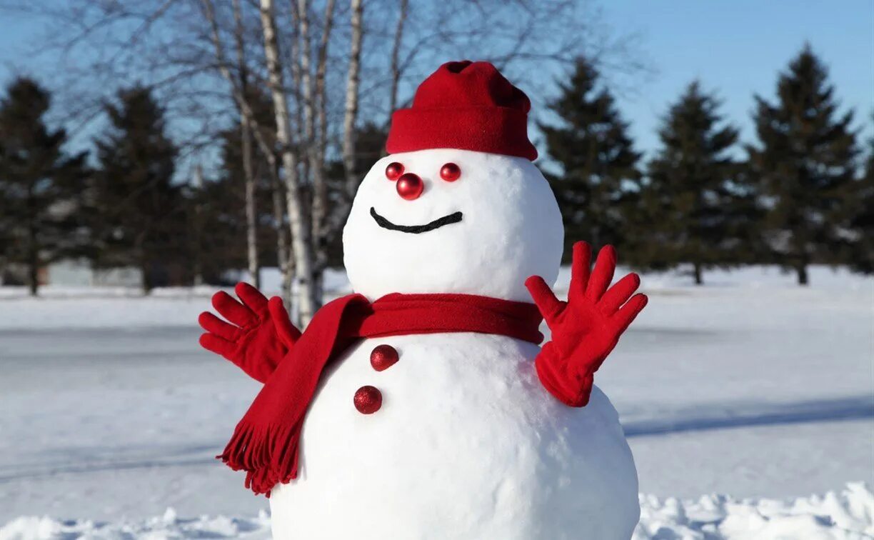 Снеговик. Забавный Снеговик. Снеговик из снега. Снеговик красивый.