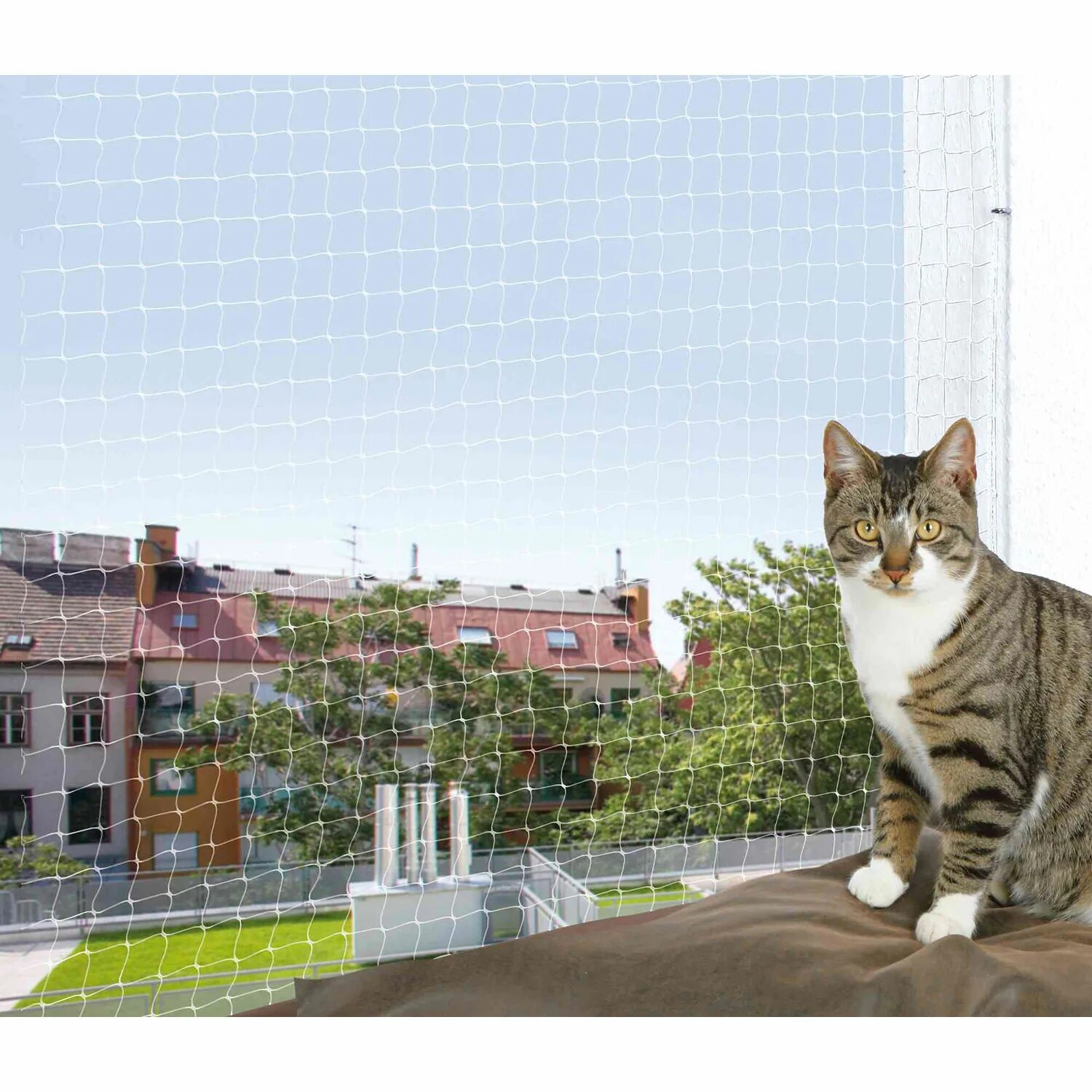 Покажи cat net