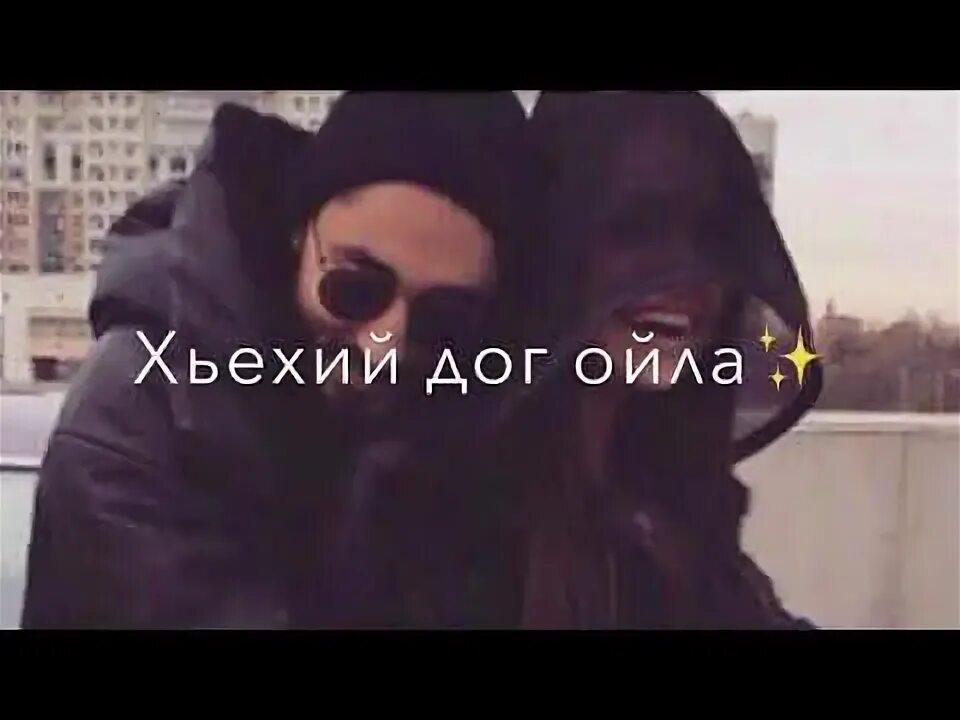 Немецкий дог палевый окрас. Датский дог. Немецкий дог купированный. Порода собак дог серый. Дог сай дог ас.
