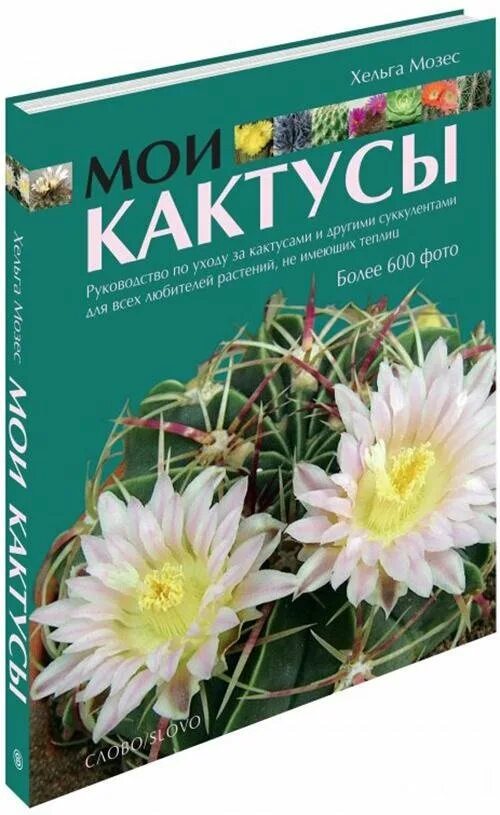 Книги про кактусы. Книги про кактусы. Книги с кактусами на обложке. Книги про кактусы. Энциклопедия кактусов с картинками.