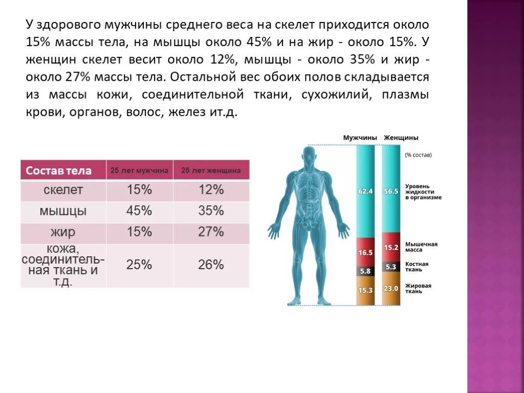 Плотность руки. Показатели костной массы в организме. Процент мышечной массы. Мышечная масса норма. Процент массы мышц от массы тела.