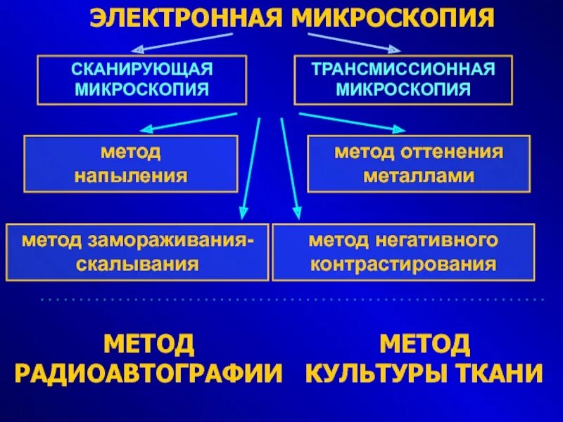 Методы сканирующей микроскопии. Метод электронной микроскопии. сканирующая микроскопия метод. метод сканирующей электронной микроскопии. метод контрастирования электронная микроскопия.