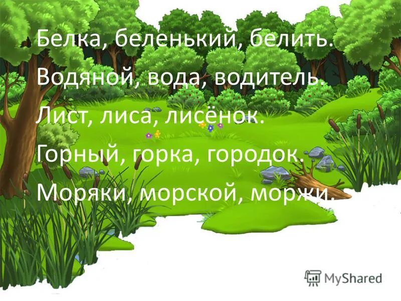 Белая канадская белка. Белка белый белить. Лосенок однокоренные слова. Белка альбинос зимой. Белки животные белые.