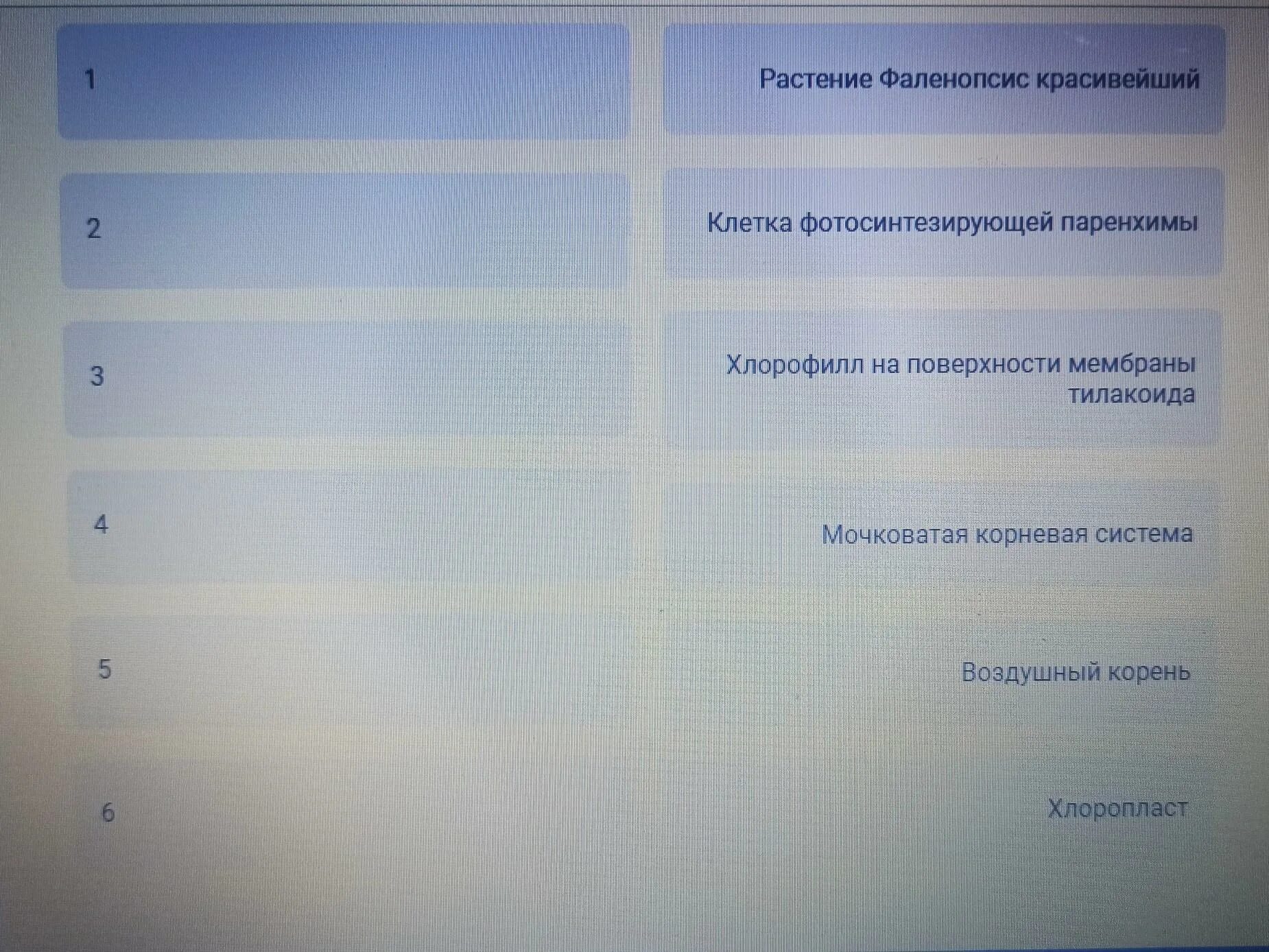 Расположите в правильном порядке уровни систем. Расположите в правильном порядке. структуры начиная с наибольшей расставьте в порядке. расположите варианты в правильном порядке. расположите в правильном порядке уровни.