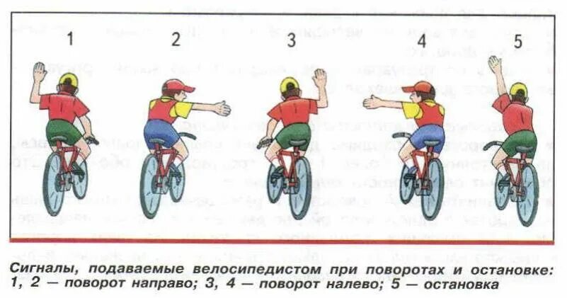 Сигналы маневрирования велосипедистов. Сигналы подаваемые велосипедистом. Велосипедист на повороте. Сигнал поворота налево велосипедиста. Повороты 5 класс