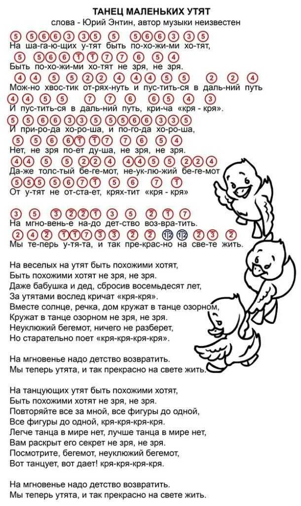 Седая ночь ноты цифрами. Ноты для синтезатор на синтезаторе начинающих. ноты в цифрах для синтезатора для детей в цифрах. танец маленьких утят на пианино по цифрам. танец маленьких утят ноты цифрами.