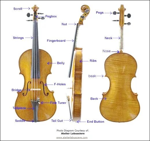 Строение скрипки. Устройство скрипки. Violin Parts. Звук из скрипки. Скрипка на английском языке