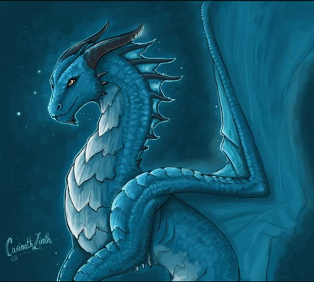 Любит ли дракон голубой цвет. Зимние дракончики. Синий дракон арт. Дракон голубого цвета значения. Любит ли дракон голубой цвет.