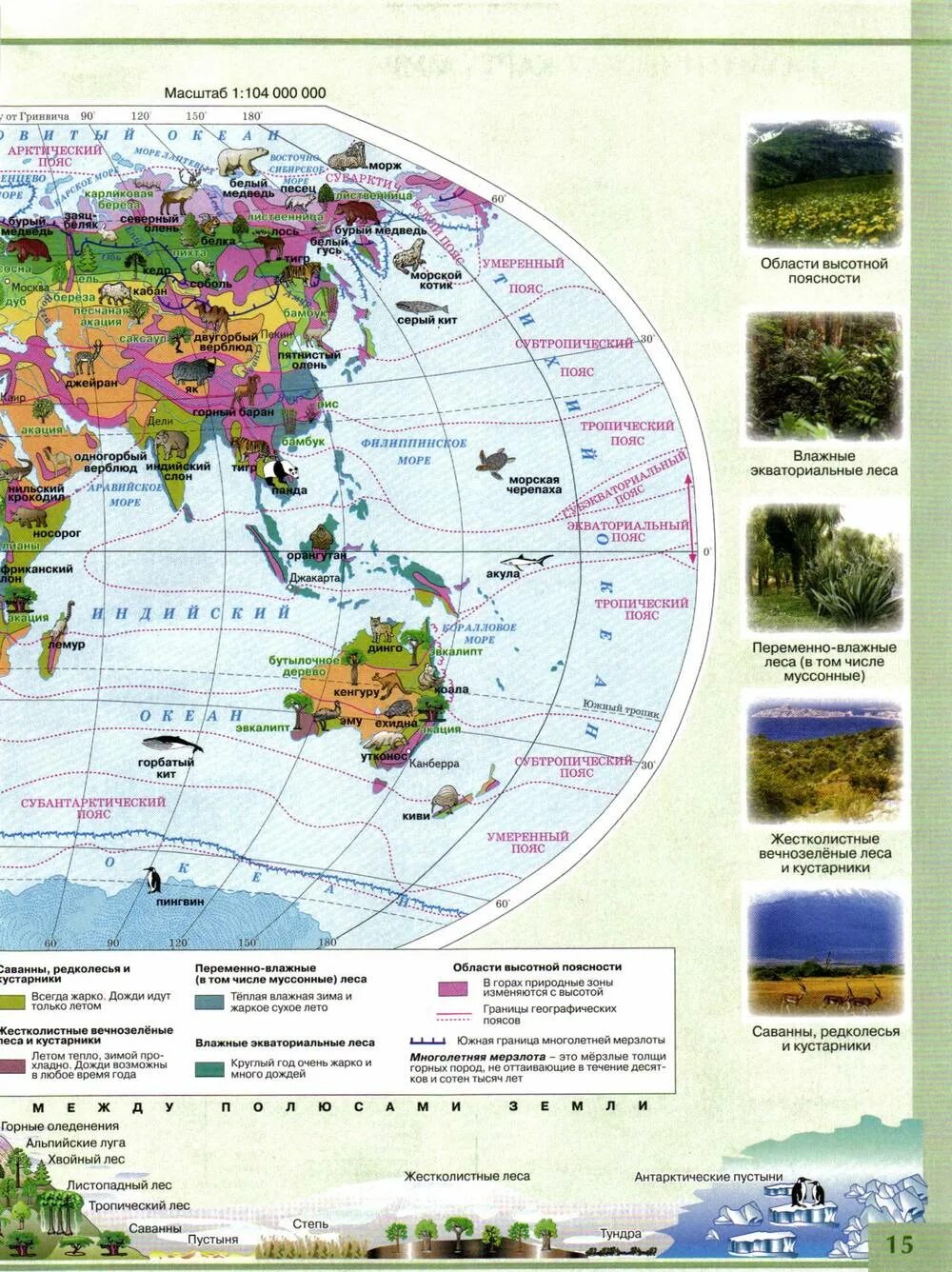 Атлас по географии 7 класс природные зоны. Атлас география 7 класс природные зоны. Атлас 6 класс природные зоны