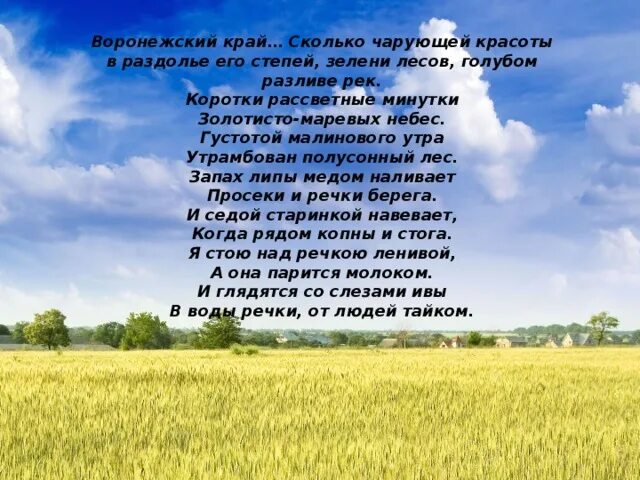 Родной край сколько. Стихи о природе Воронежского края. Стихотворение о Воронежском крае. Четверостишье про родной край. Стихи о Воронежской земле.