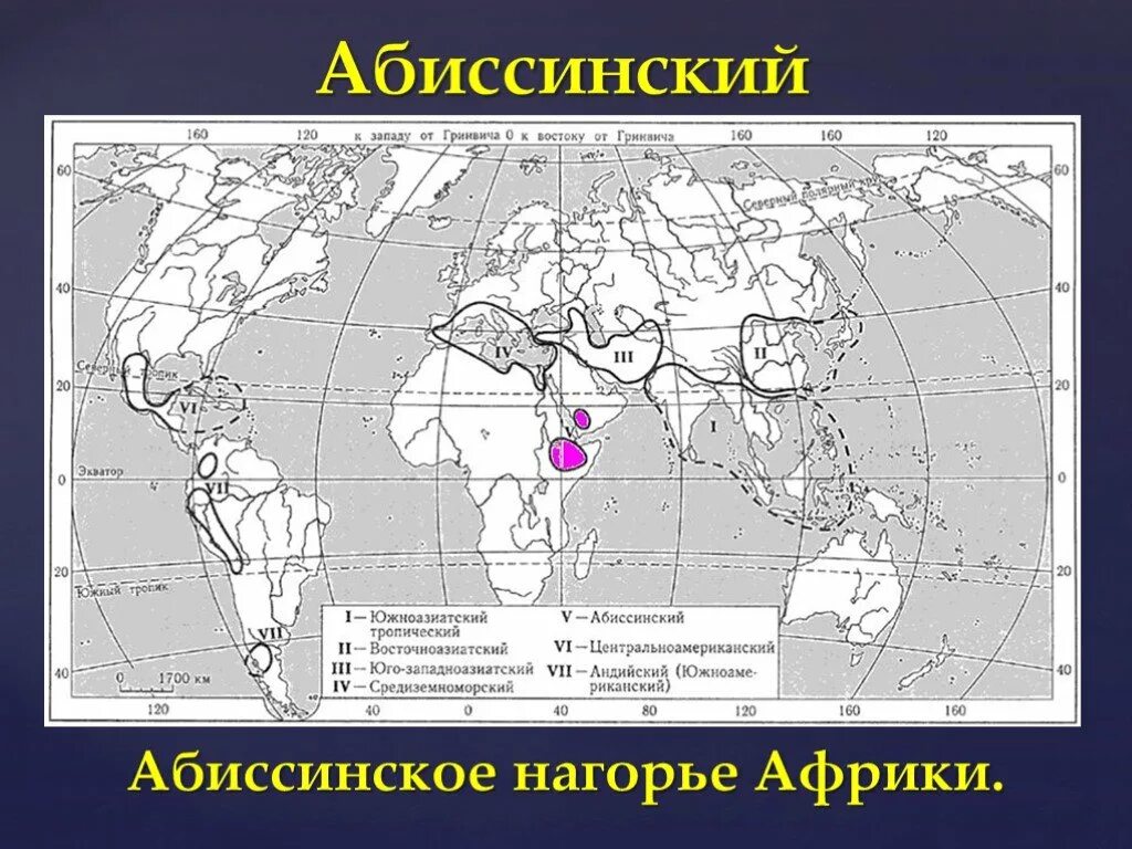 Абиссинский центр происхождения культурных растений сообщение. Абиссинский центр происхождения растений. Абиссинский центр происхождения культурных растений. Эфиопский центр происхождения культурных растений. Абиссинский центр происхождения культурных растений на карте.