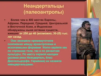 Неандерталец особенности строения