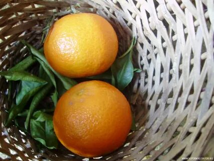 Mandarin 2