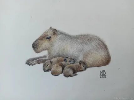 Как можно нарисовать капибару
