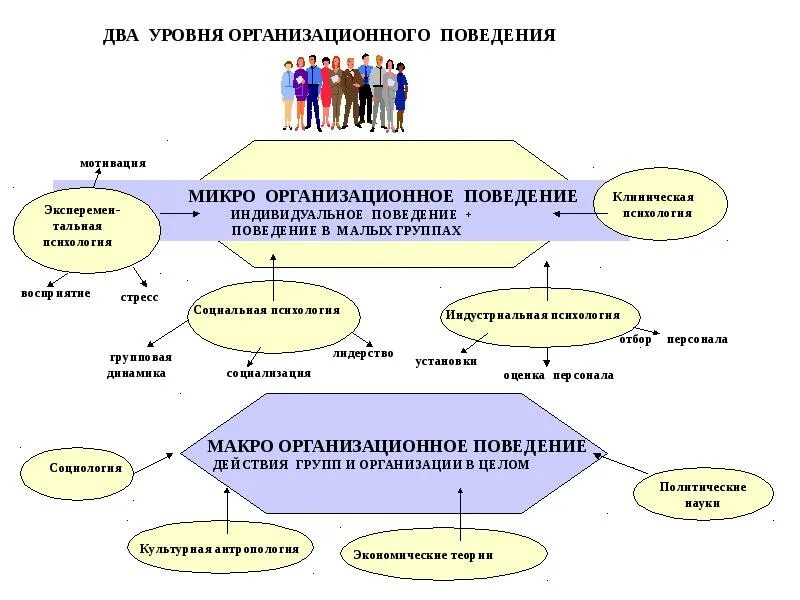 Уровни организационного поведения. Организационное поведение. Уровни анализа организационного поведения. Составляющие организационного поведения. Модели индивидуального поведения