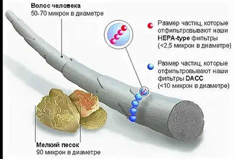Выразите толщину волоса в см