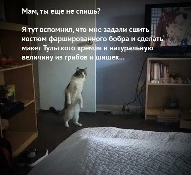 Как тут не вспомнить. Как тут не вспомнить