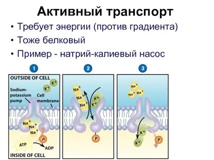 Натрий активный