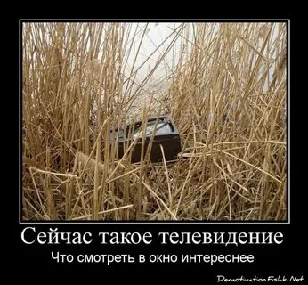 Посмотрим юмор