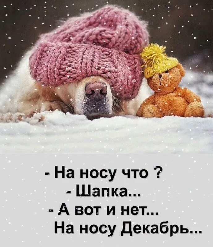 Скоро утро. Зима на носу. скоро зима. открытки зима на носу. декабрь на носу.