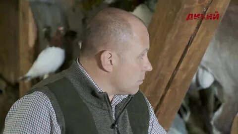 Дом трофеев трейлер