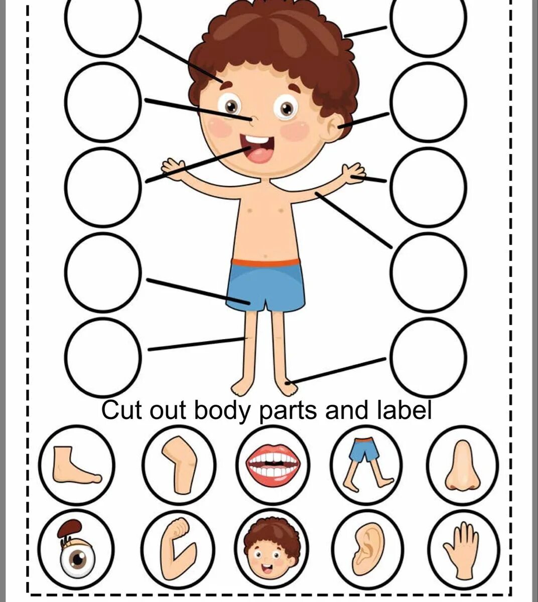 Parts of the body Worksheets for Kids 2 класс. Parts of body задания для детей. Части тела на английском задания. Занятие части тела для дошкольников. Тема части тела на английском