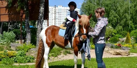 Фаворит подольск конный