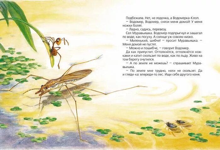 Какие насекомые помогали муравьишке добраться домой. Муравьишка Бианки. Книга Бианки муравьишка. Муравей Бианки. Сказка Бианки про муравьишку.
