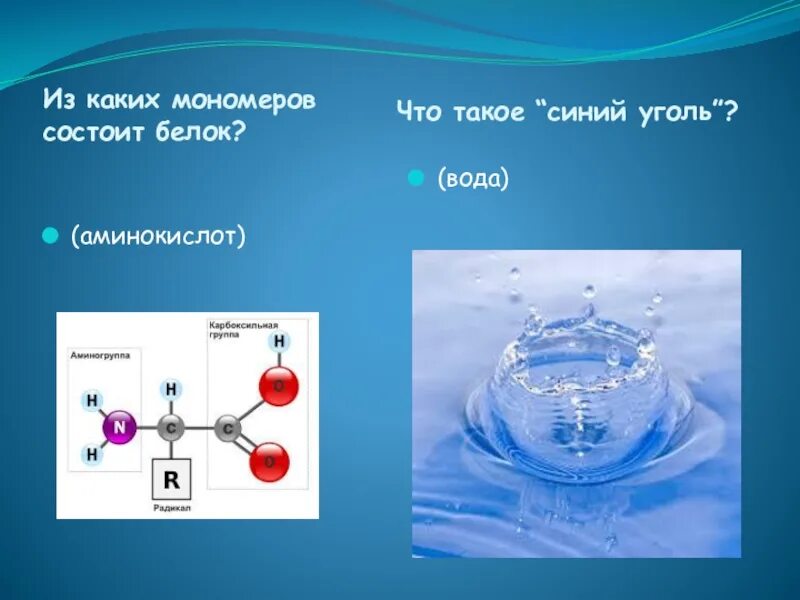 Мономеры белка состоят. Белок в воде. Белки состоят из мономеров. Из каких мономеров состоят белки. Мономеры белка состоят из.