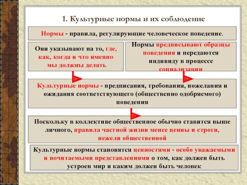 Поведение связанное с нарушением норм правил. Культурные нормы. Социально культурные нормы. Культурные нормы поведения. Социальные нормы в культуре.