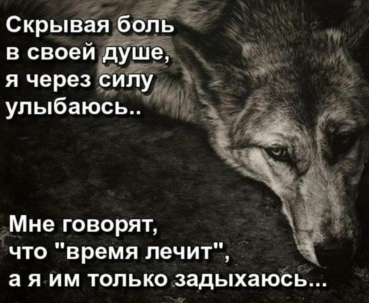Цитаты когда плохо на душе со смыслом. Цитаты про боль в душе. высказывания о душевной боли. душа болит цитаты. цитаты о грусти и боли в душе.