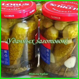 Суточные огурцы
