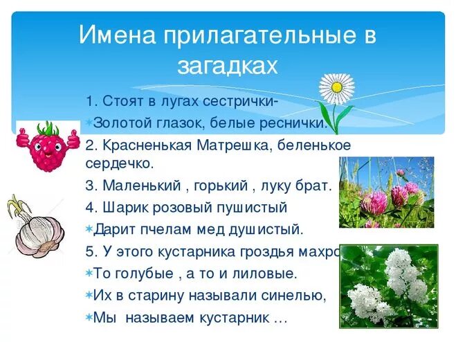 загадки с именем прилагательным. отгадка прилагательное. загадки с именами прилагательными. проект имена прилагательные в загадках. загадки с прелогательным.