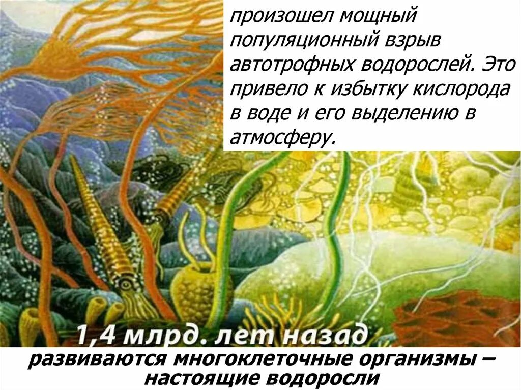 Водоросли выделяют кислород. Популяционный взрыв. Популяционный взрыв это в биологии. Кораллы автотрофные организмы. Главной причиной популяционного взрыва является.