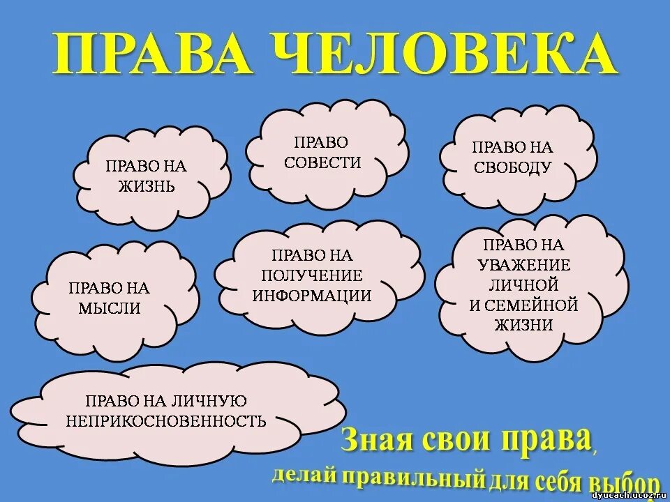 Как найти свое место в обществе облачка